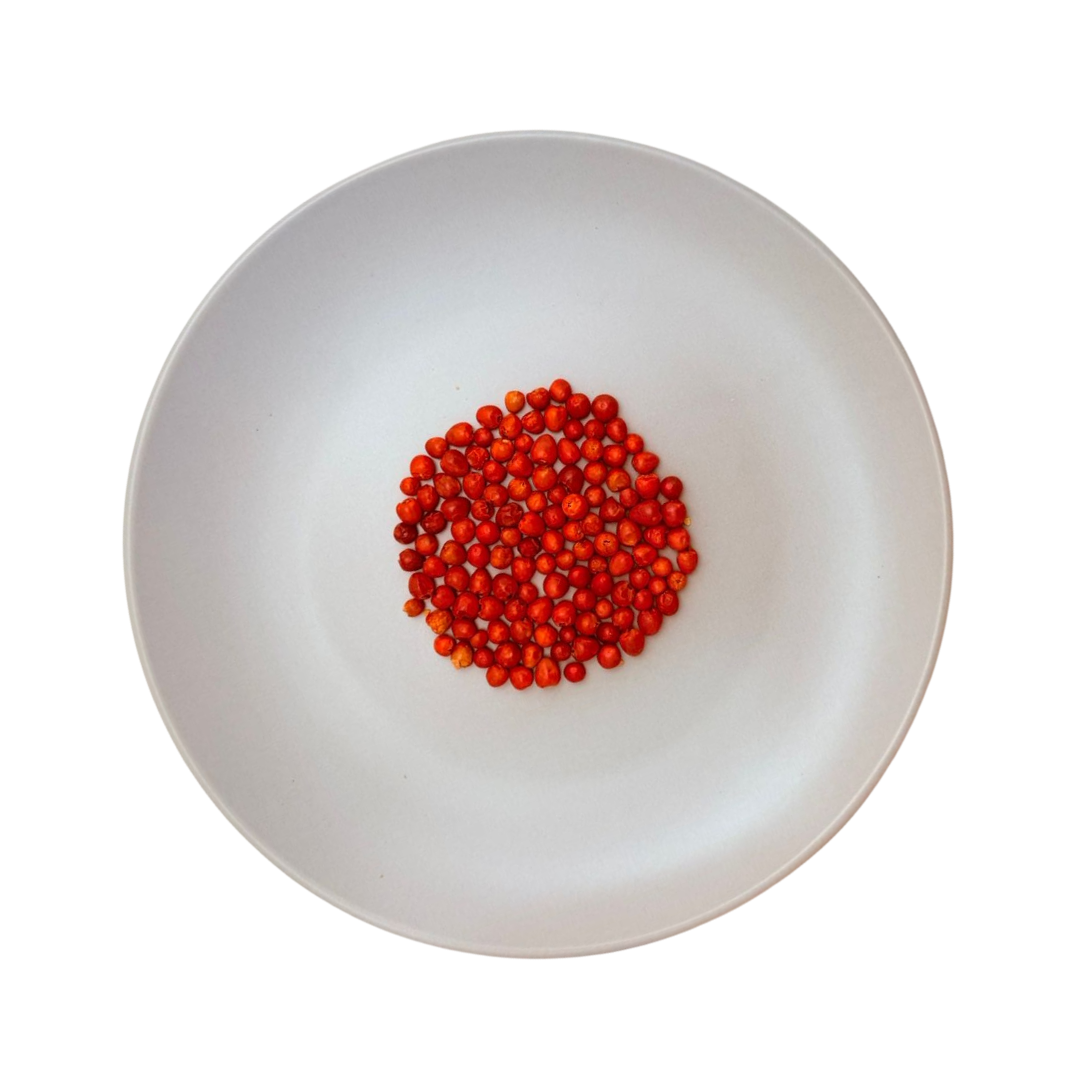 Chili Chiltepin getrocknet (seco), 15 g